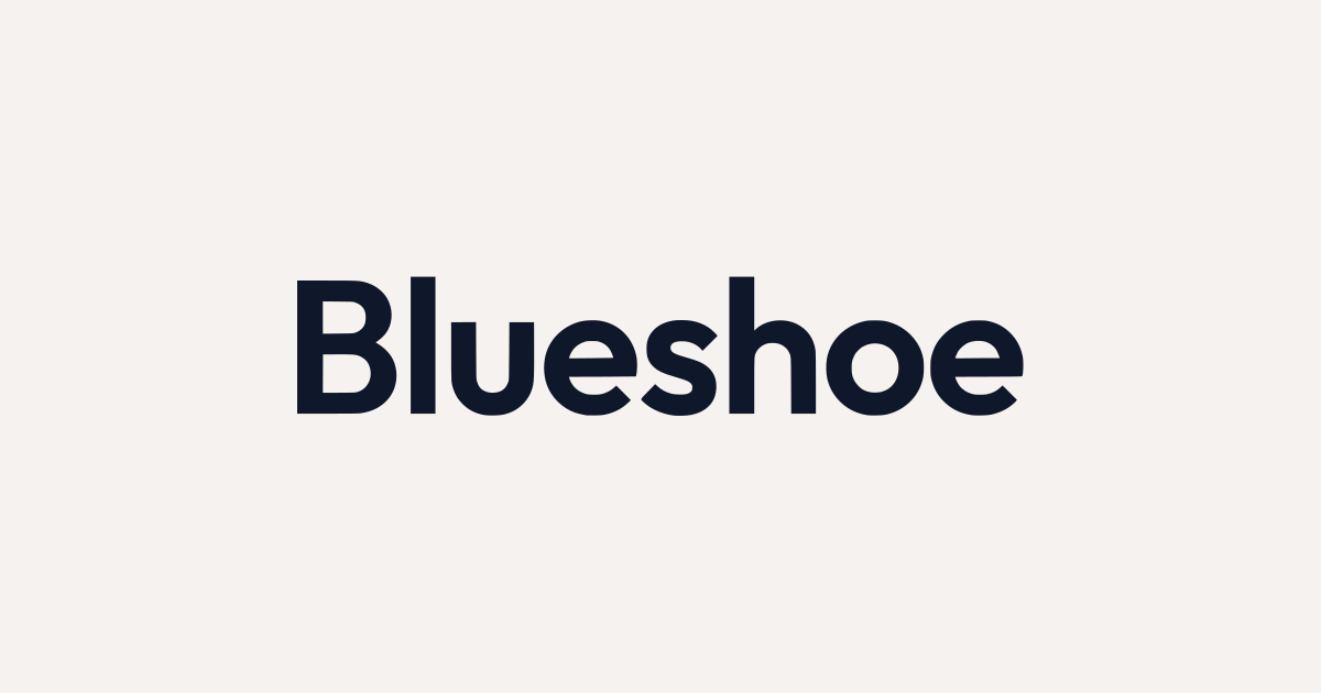 Blueshoe product image 1